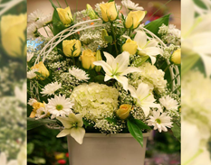 Un jarrón blanco lleno de flores amarillas y blancas.