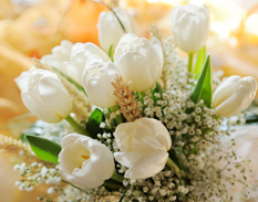 Un ramo de tulipanes blancos y flores de bebé sobre una mesa.