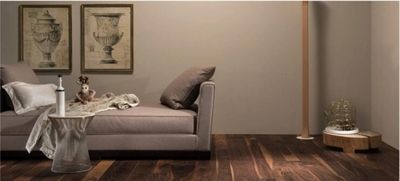 canapé gris dans salon boisé