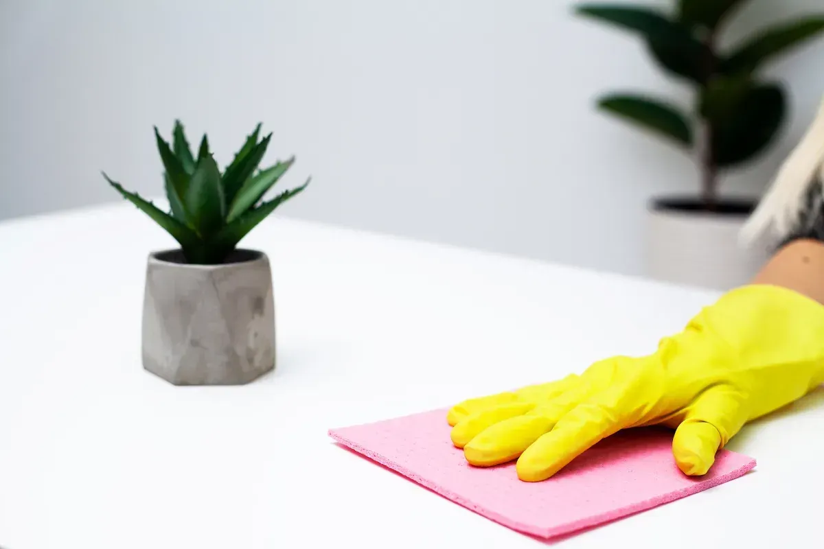 La mano en guante amarillo limpia una superficie blanca con un paño rosa cerca de una planta en maceta.