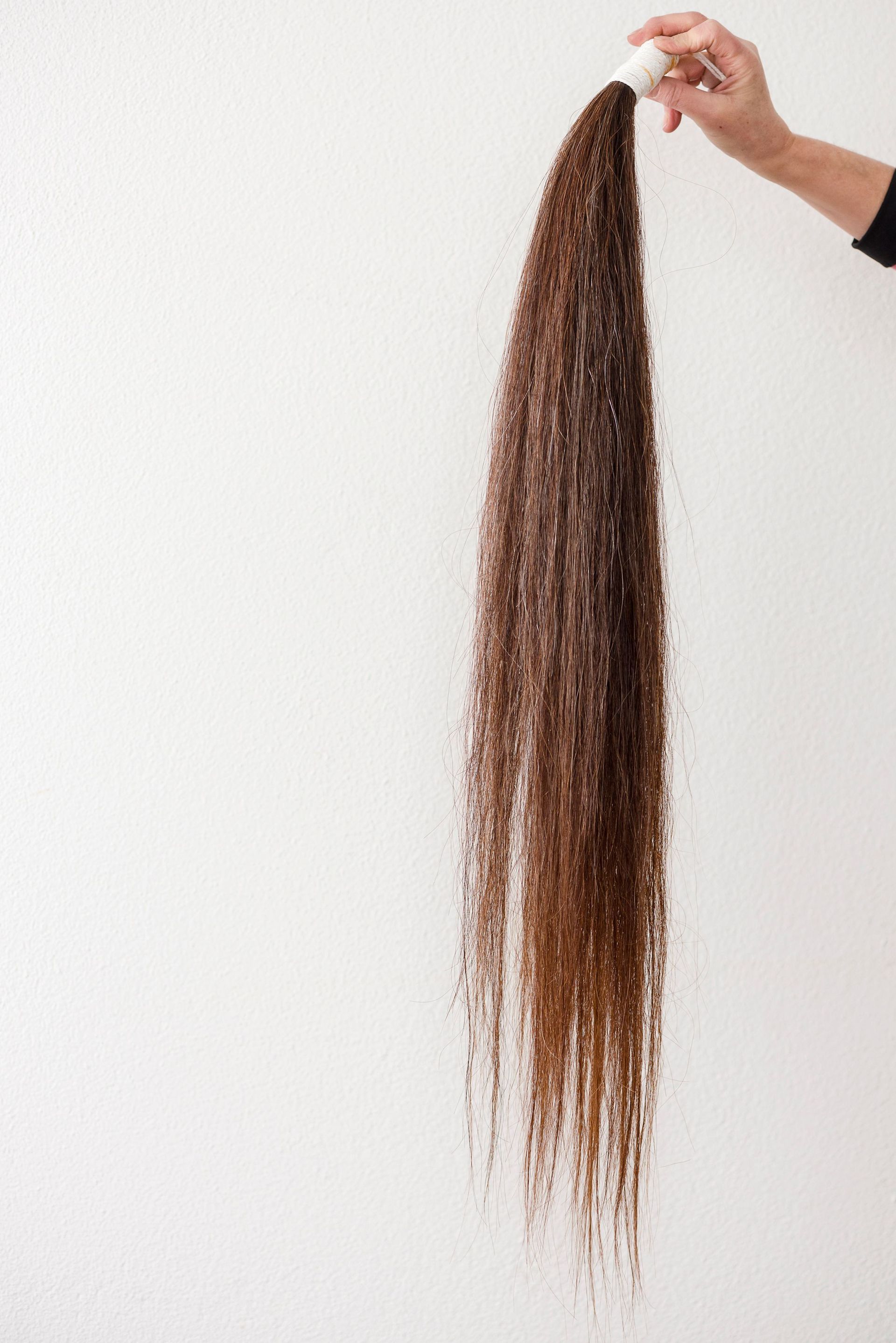 Crins de cheval - Toggenburger & Co AG