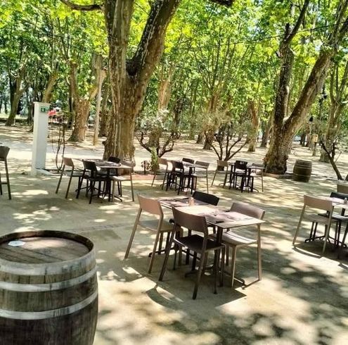 Des tables sur une terrasse ombragée