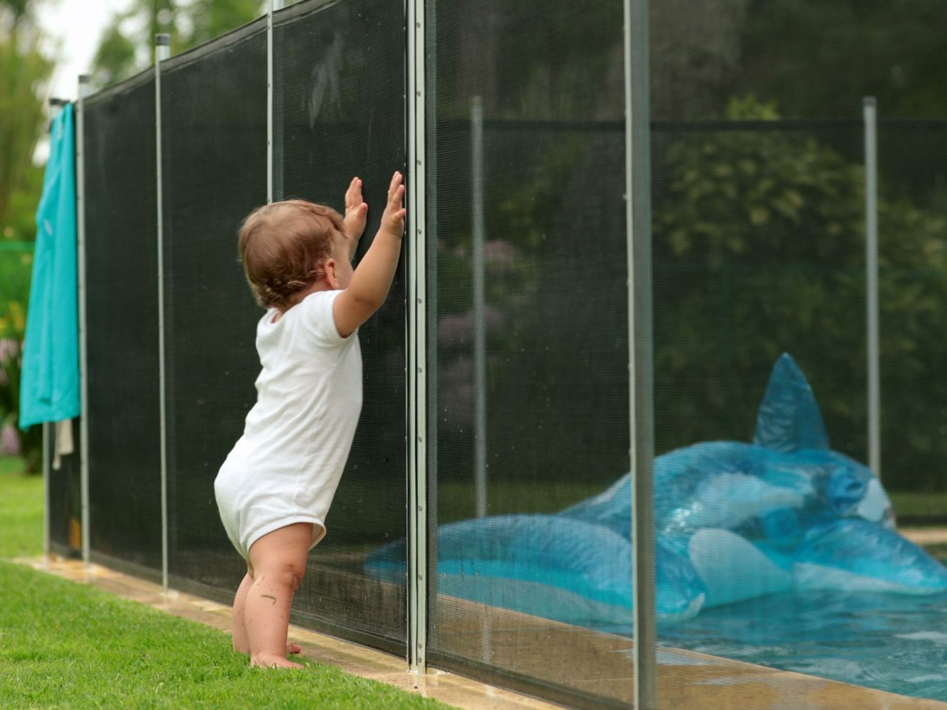 Un bébé appuyé sur une barrière de protection de piscine