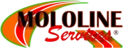 MOLOLINE Services logo in black and red with green and orange swooshes