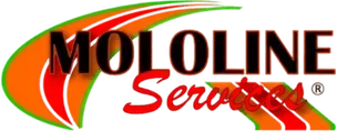 MOLOLINE Services logo in black and red with green and orange swooshes