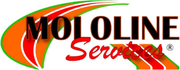 MOLOLINE Services logo in black and red with green and orange swooshes
