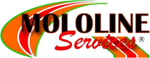 MOLOLINE Services logo in black and red with green and orange swooshes