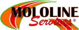 MOLOLINE Services logo with orange and green swooshes and black and red text
