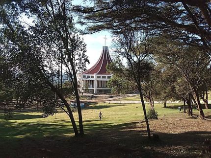 Tree-framed view of a red-roofed building in a grassy park with one person walking nearby