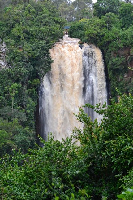 Tall waterfall spilling through dense green forest