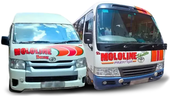Two white MOLLINE buses facing forward, one van and one coach, with red and orange logos.