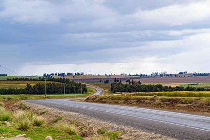 Winding rural road through fields under a cloudy sky