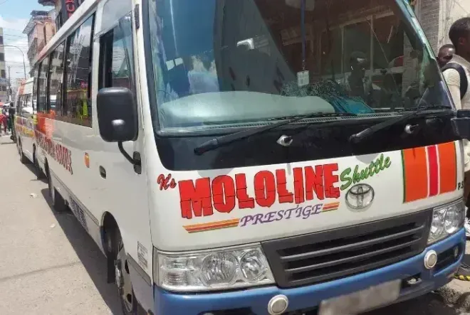 White Mololine Prestige bus parked on a street, front view with red and green branding.