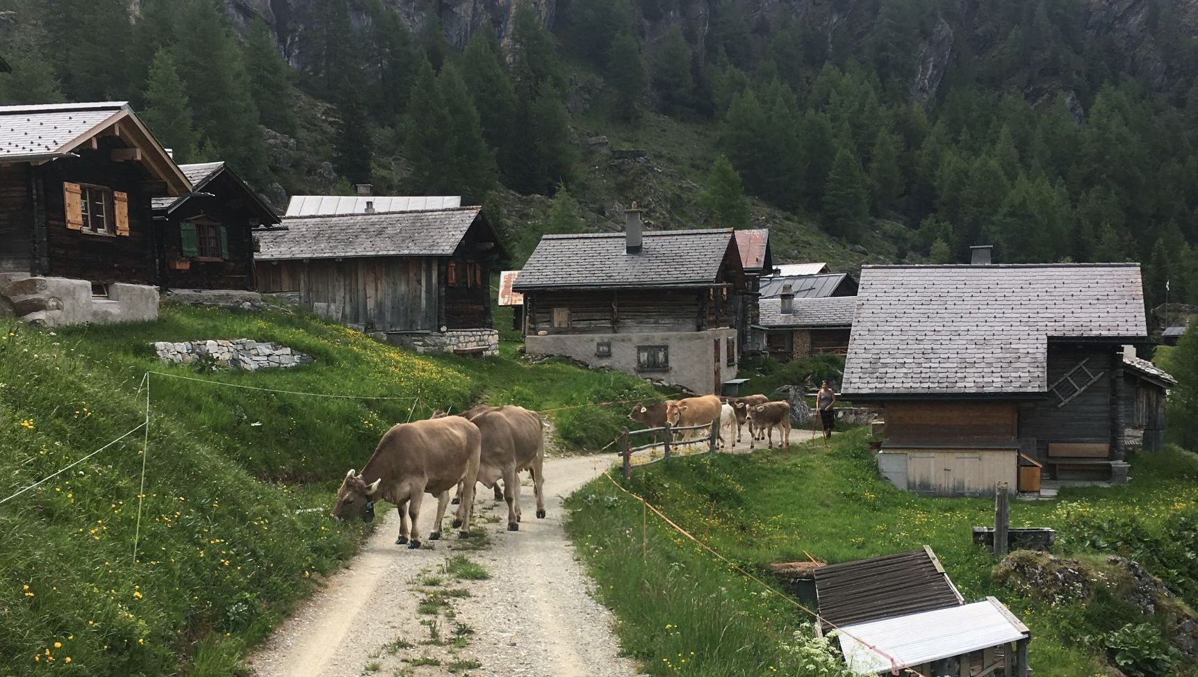 Schweiz Natur Berge Hütte mieten übernachten