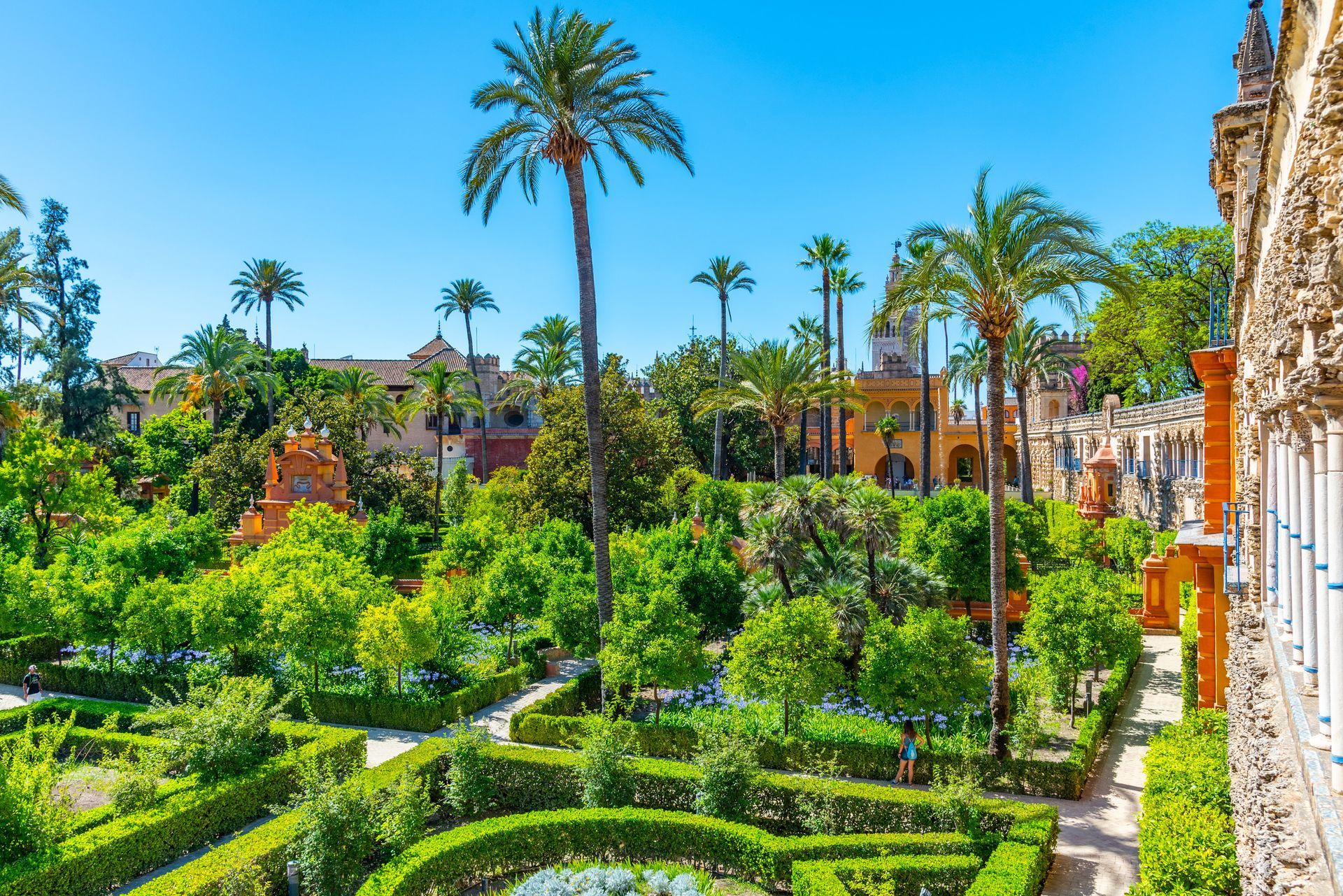 Una vista aérea de un exuberante jardín verde con palmeras y un estanque.