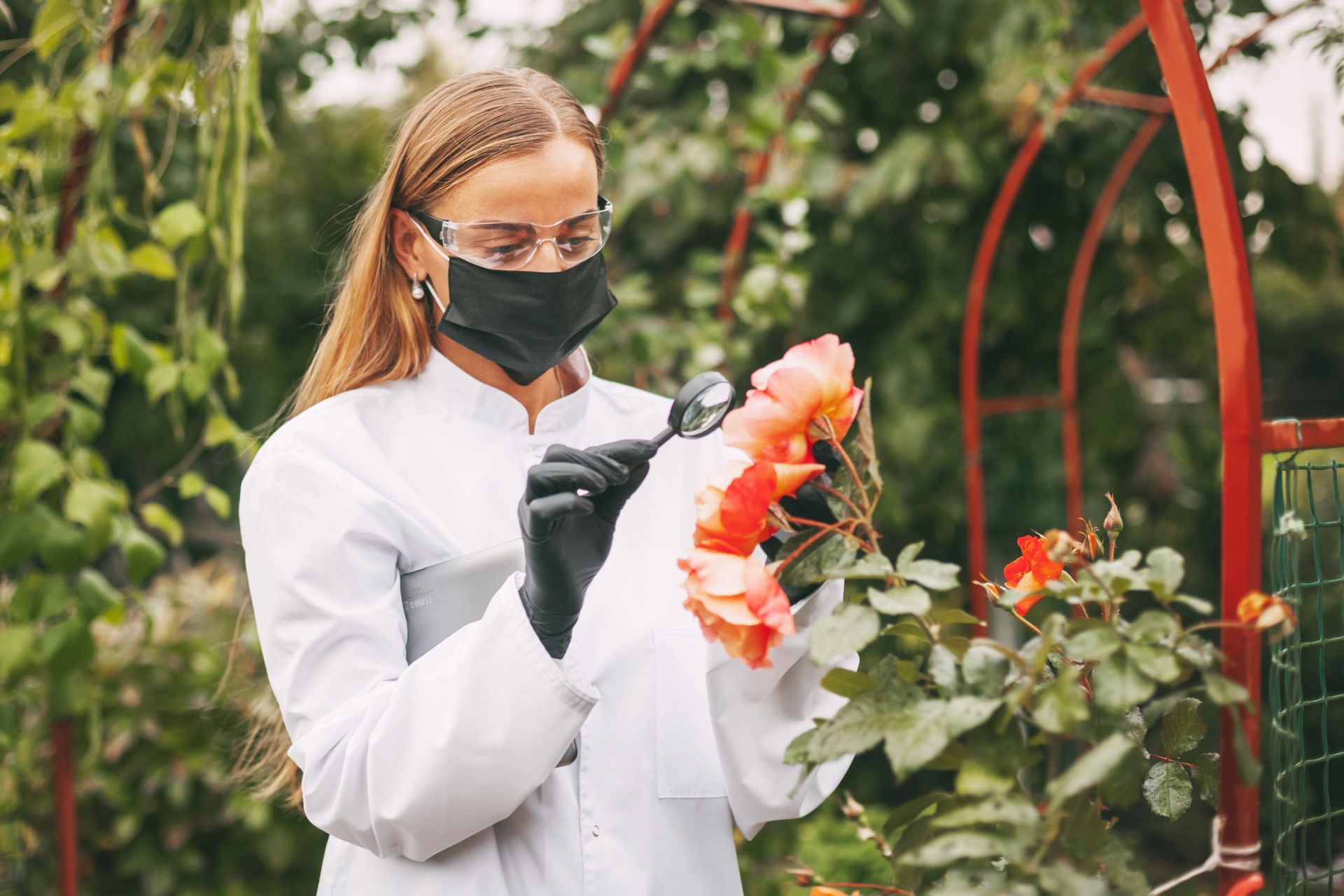 Una mujer que lleva una máscara y guantes mira flores en un invernadero.