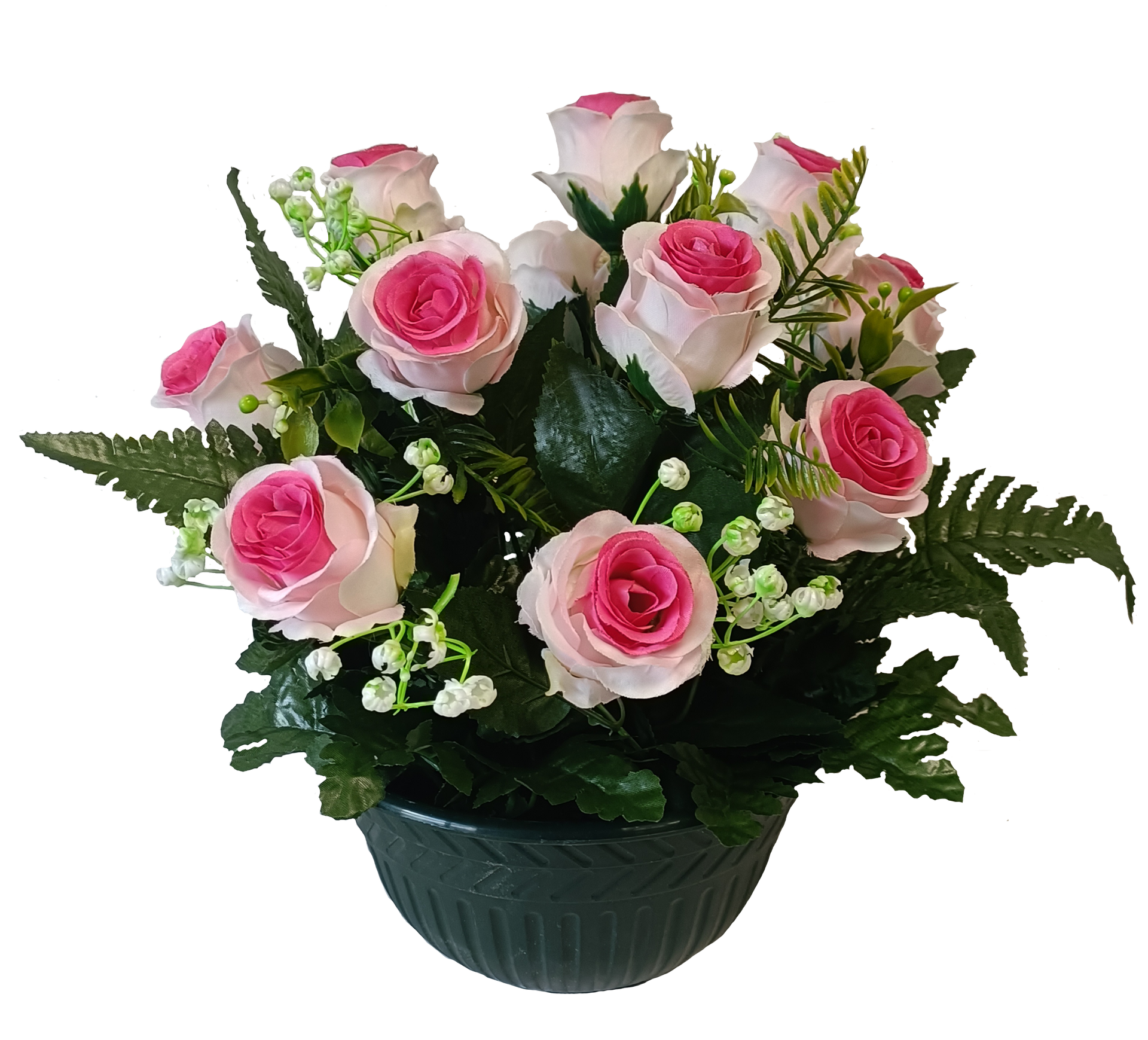 Rose bouton fougères 13 têtes 
