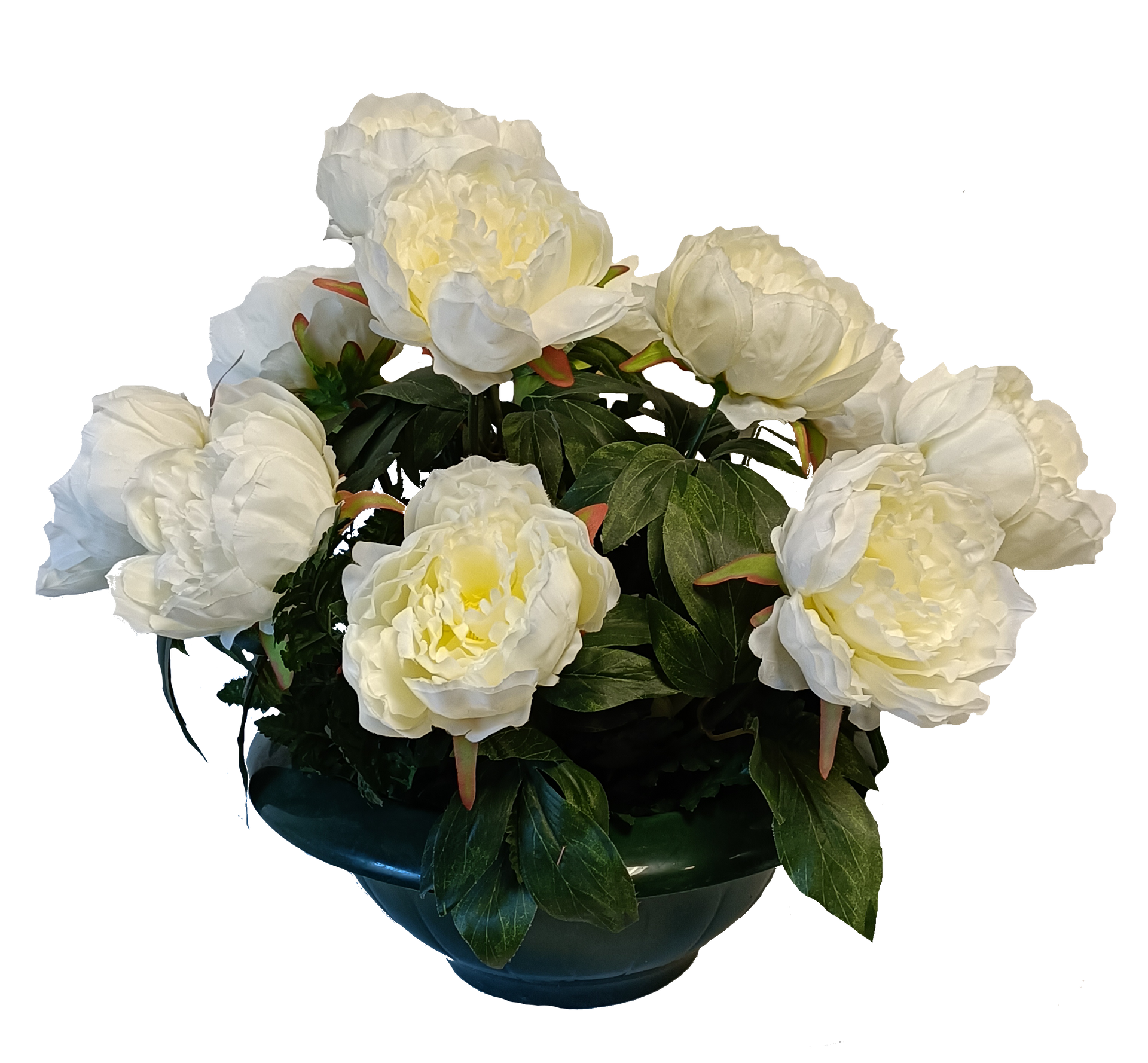 Coupe Pivoine 12 têtes 
