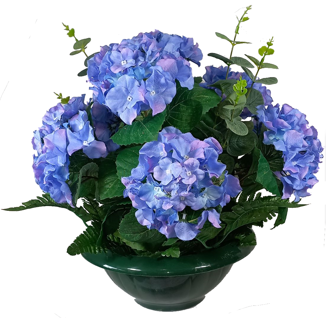 Coupe Hortensia Eucalyptus 10 têtes
