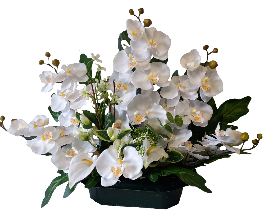 Branche Orchidée (5 branches)
