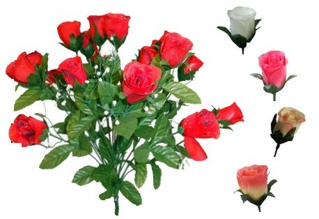 ROSE BOUTON 24 TETES
