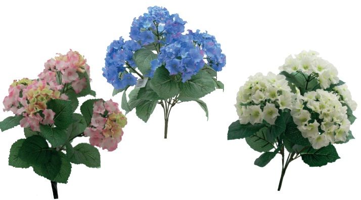 HORTENSIA 5 TETES 

