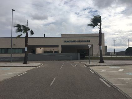 Dos palmeras ondean con el viento frente a un edificio.