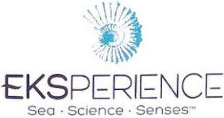 Logo, Eksperience