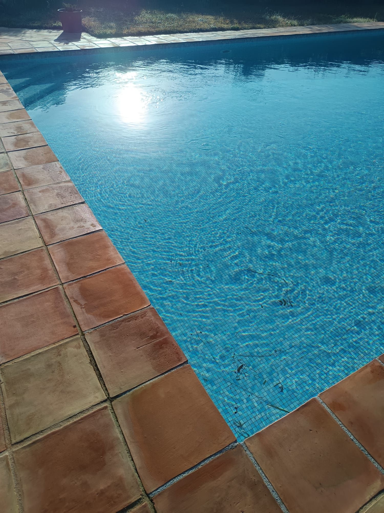 Piscine d'eau bordée de carreaux de terre cuite, le soleil se reflétant à la surface.