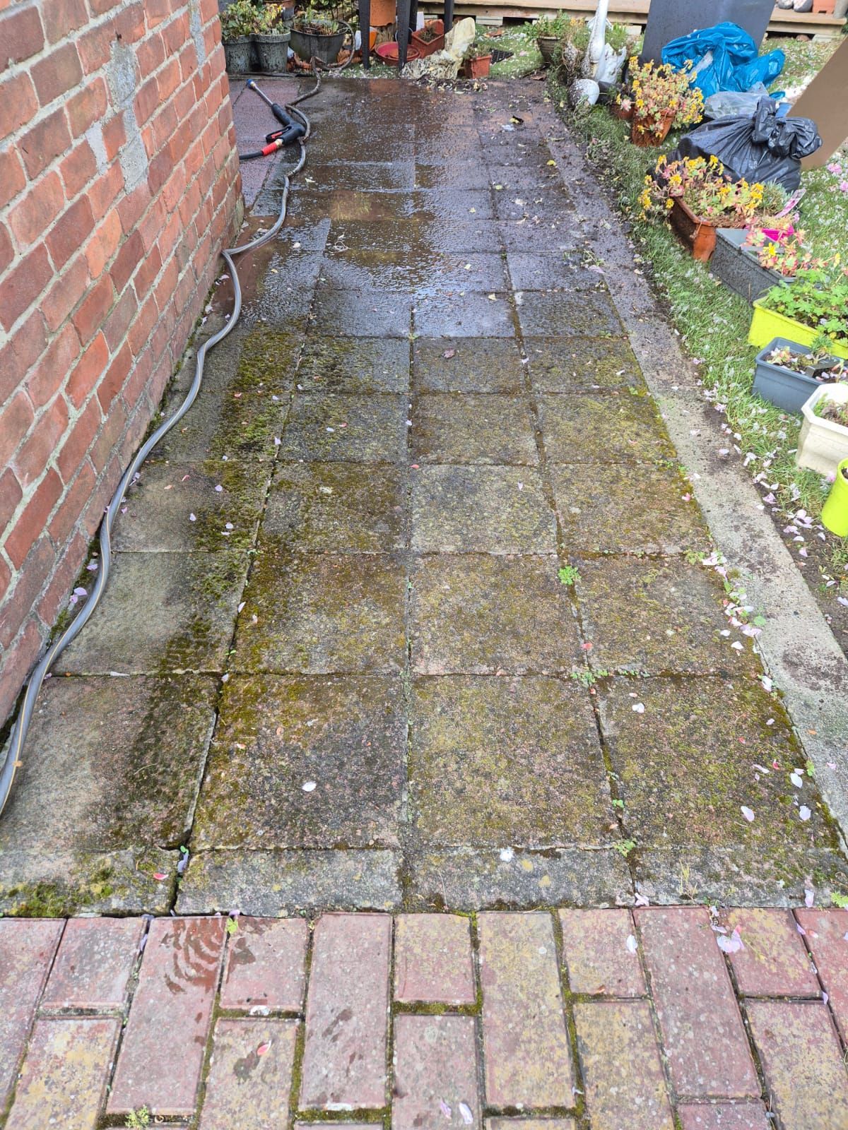Pavés de patio avec mousse et saleté, partiellement nettoyés avec un nettoyeur haute pression.