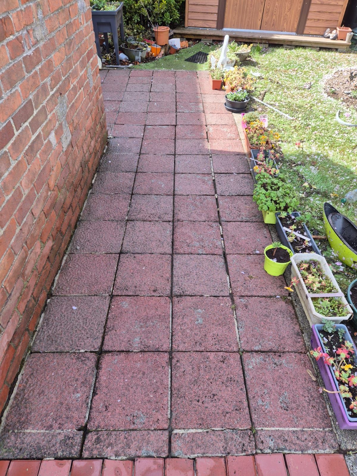 Chemin en briques le long d'un mur de briques et d'herbe, avec des plantes en pot visibles.