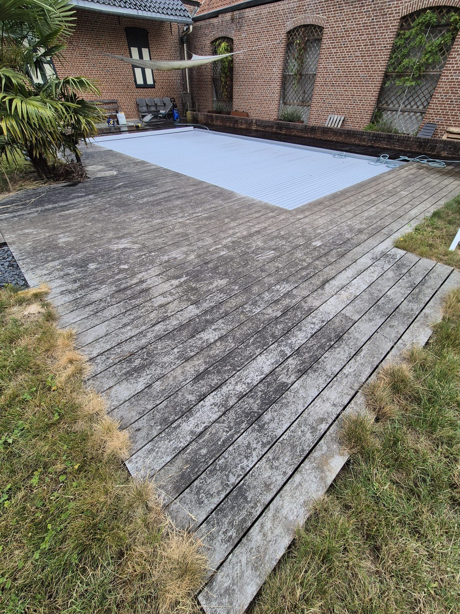 Pavés de patio avec mousse et saleté, partiellement nettoyés avec un nettoyeur haute pression.