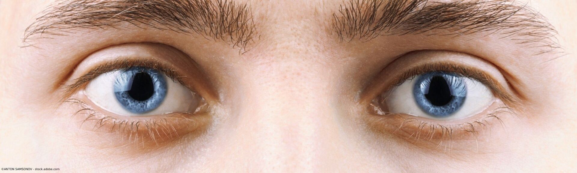 Nahaufnahme von zwei blauen Augen mit geschwungenen Augenbrauen.