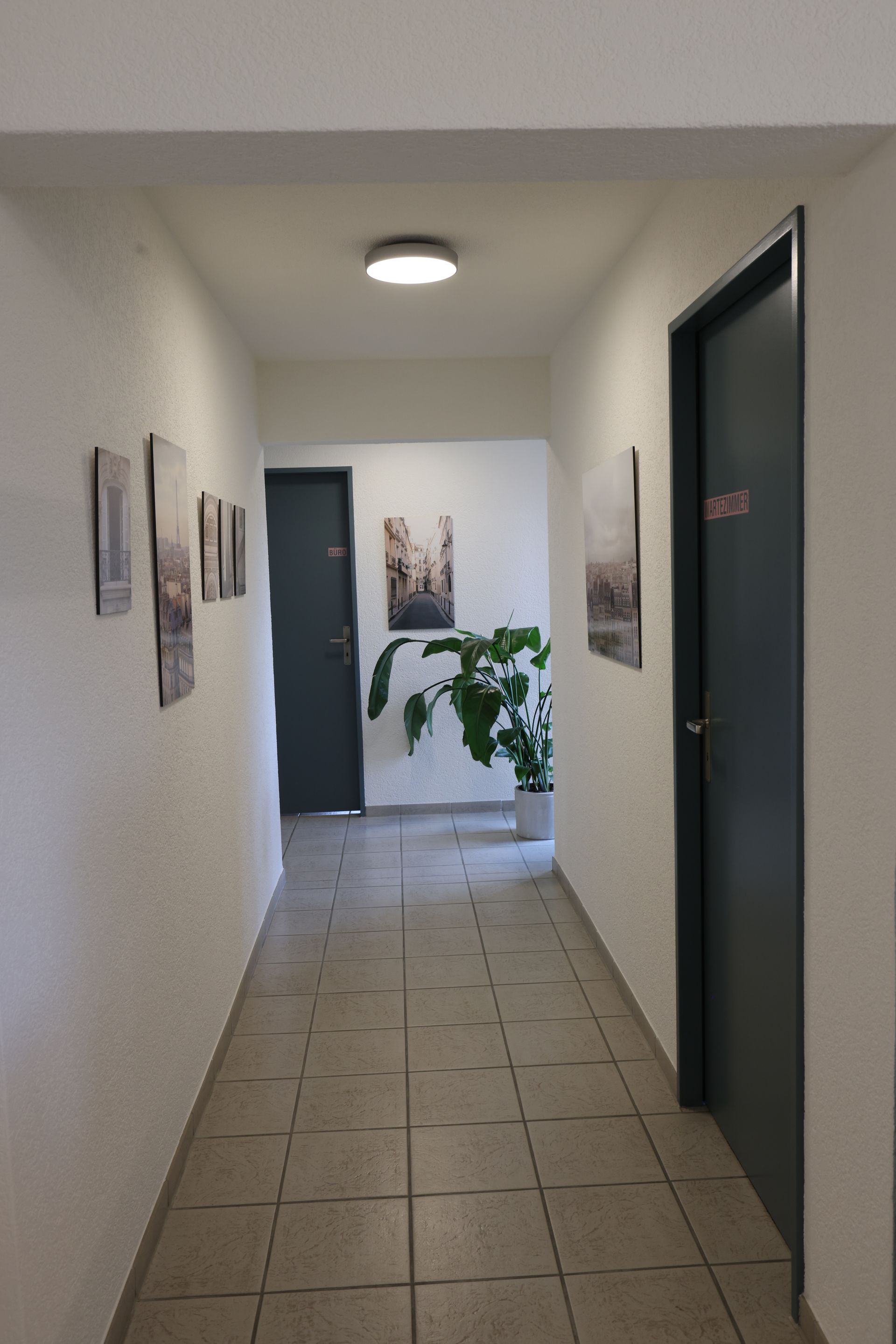 Ein langer Flur mit einer Pflanze in der Mitte und einer Tür.