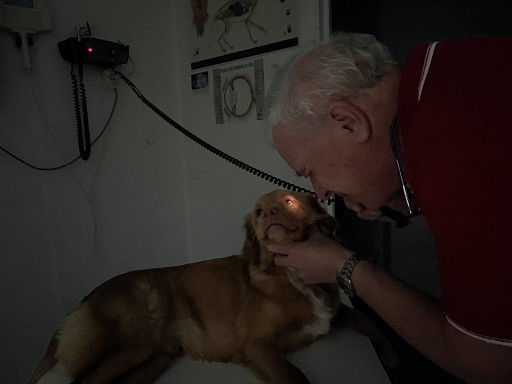 Centro Veterinario Varini