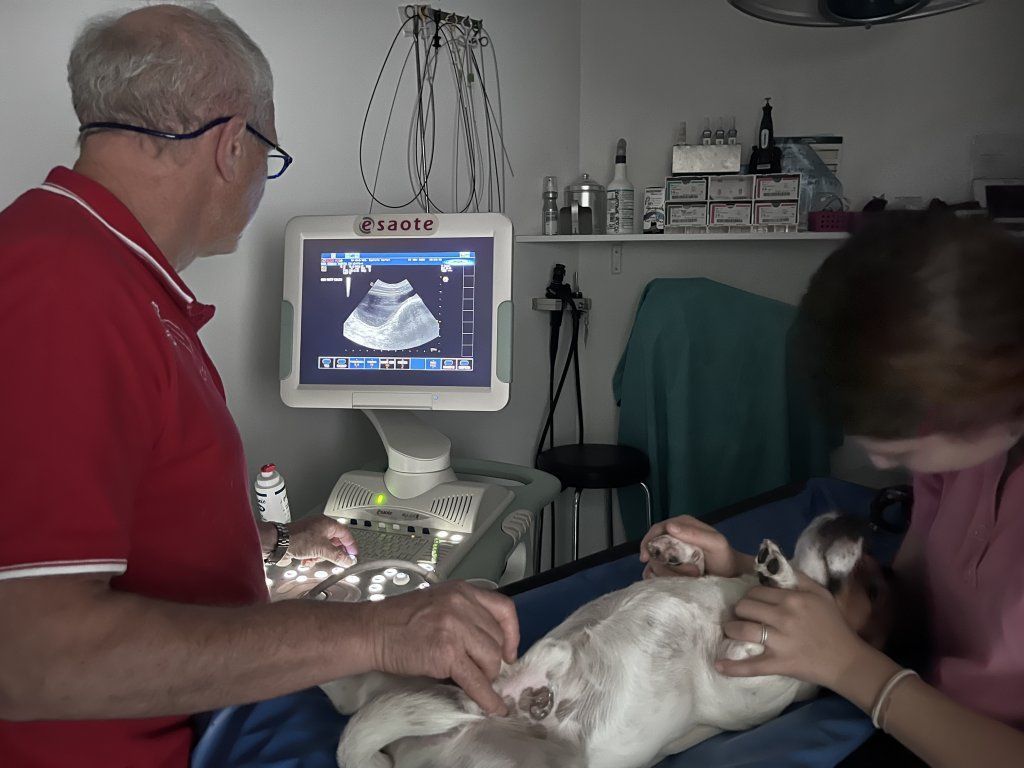 Centro Veterinario Varini