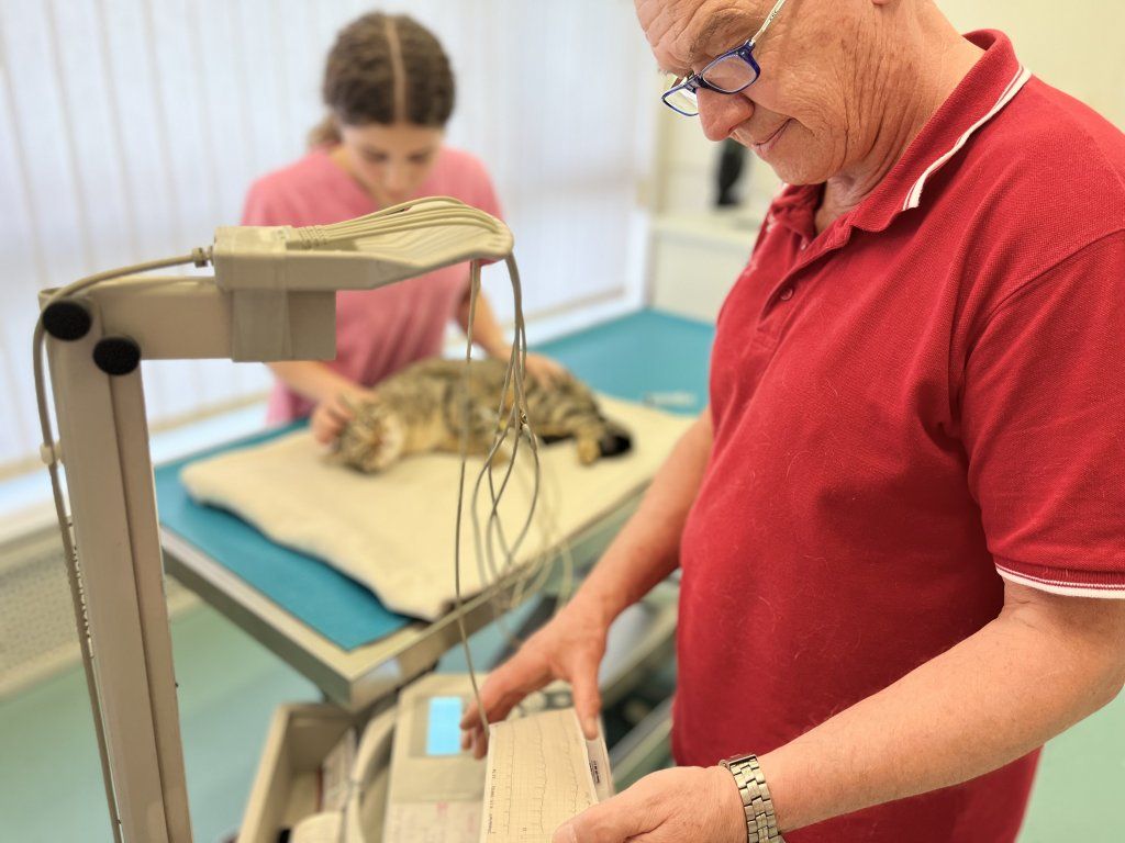 Centro Veterinario Varini