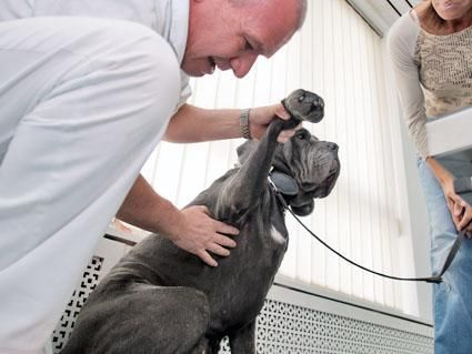 Centro Veterinario Varini