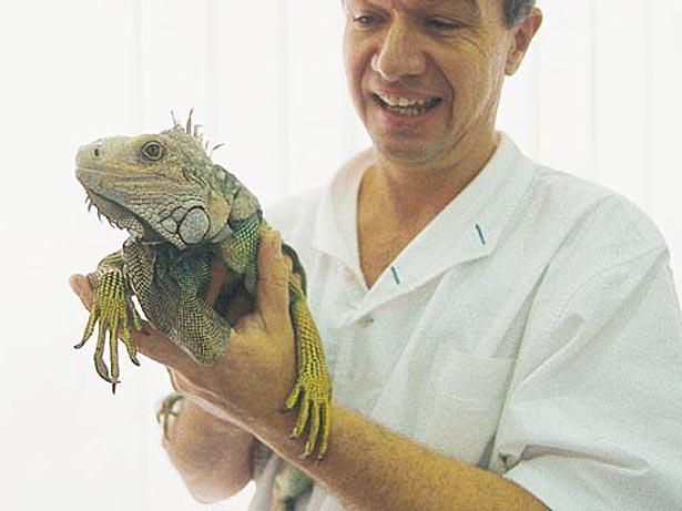 Centro Veterinario Varini