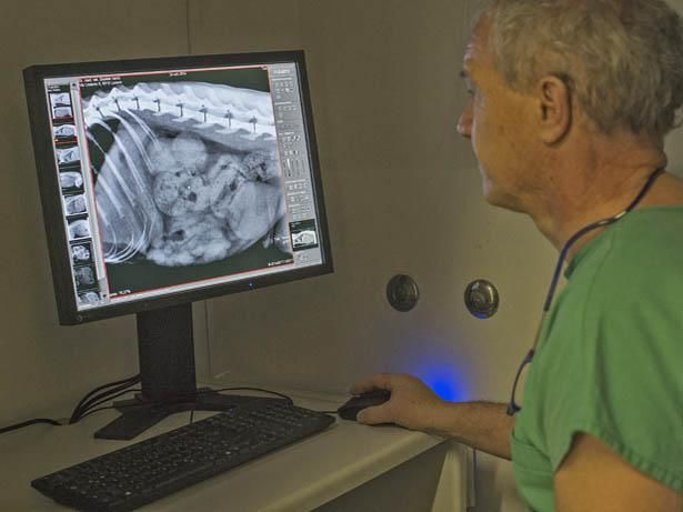 Centro Veterinario Varini