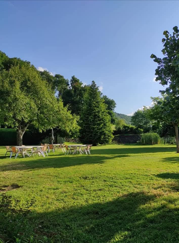 Une pelouse ensoleillée et verdoyante, agrémentée de tables et de chaises d'extérieur à l'ombre des arbres, avec une forêt et un ciel bleu en arrière-plan.