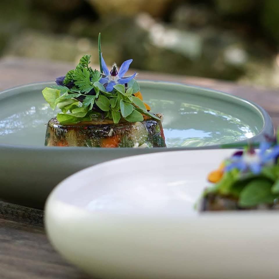 Deux assiettes de terrines de légumes garnies d'herbes fraîches et de fleurs bleues comestibles, présentées en extérieur.