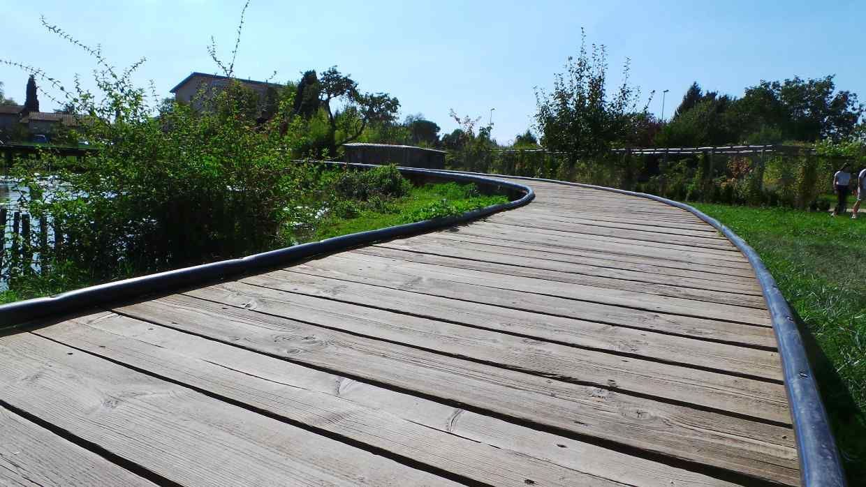 Passerelle en bois incurvée traversant des zones humides verdoyantes sous un ciel lumineux