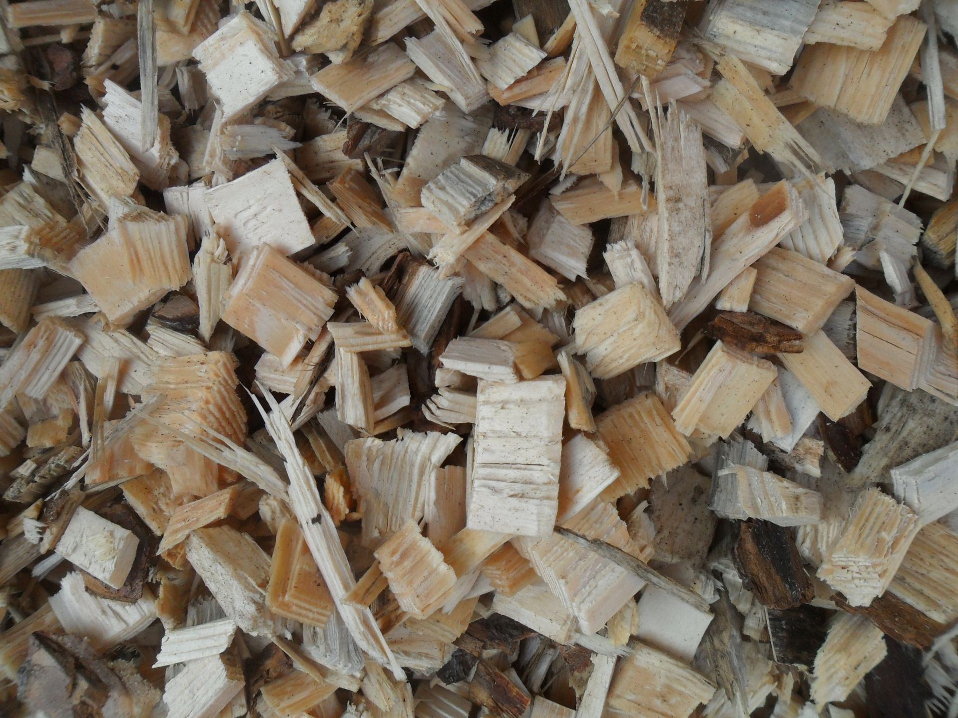 Tas de petits copeaux de bois beiges et bruns éparpillés les uns sur les autres.
