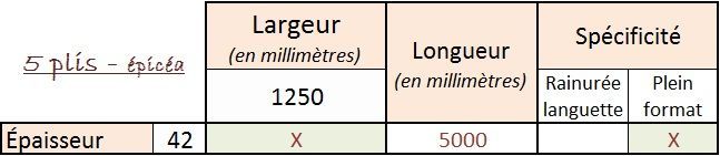 Schéma français montrant l'épaisseur, la largeur 1250 mm, la longueur 5000 mm et les spécifications de forme des deux extrémités.