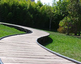 Promenade en bois incurvée traversant l'herbe verte et les arbres d'un parc ensoleillé