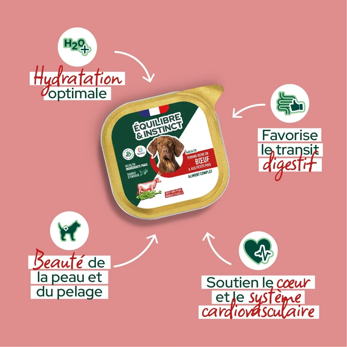 Pâtées riches en bœuf & aux petits pois pour chien adulte 300 g - Équilibre & Instinct