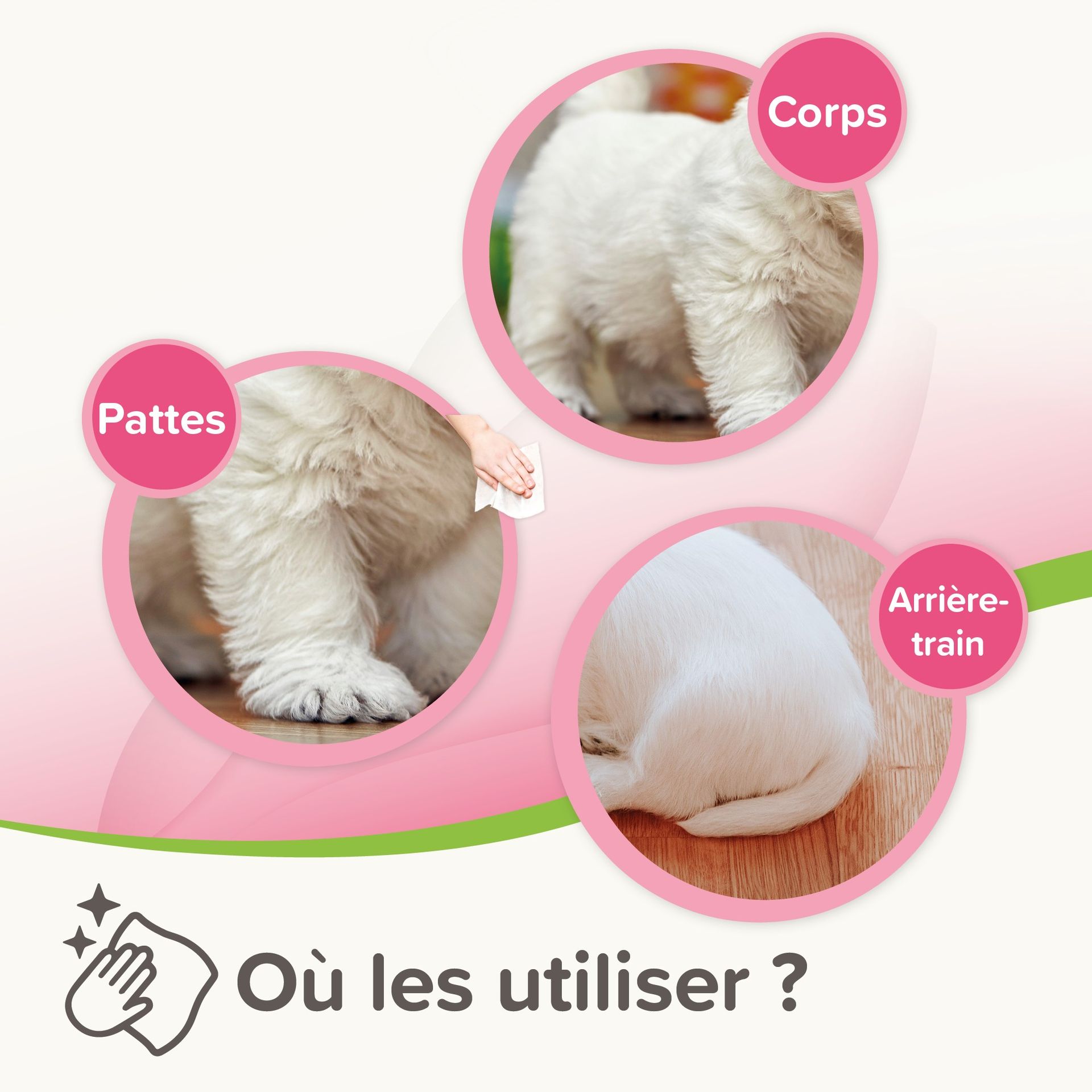Lingettes nettoyantes sensitives chien & chat x30 – Beaphar - vue 7