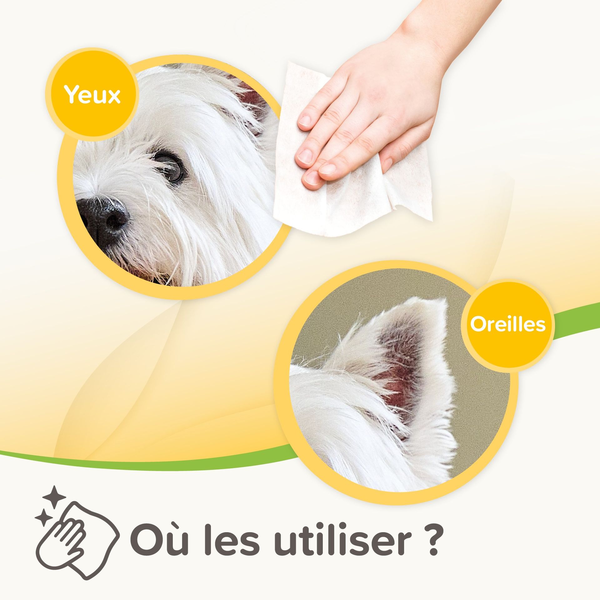 Lingettes nettoyantes Yeux et Oreilles pour chien et chat x 30 – Beaphar - vue 7