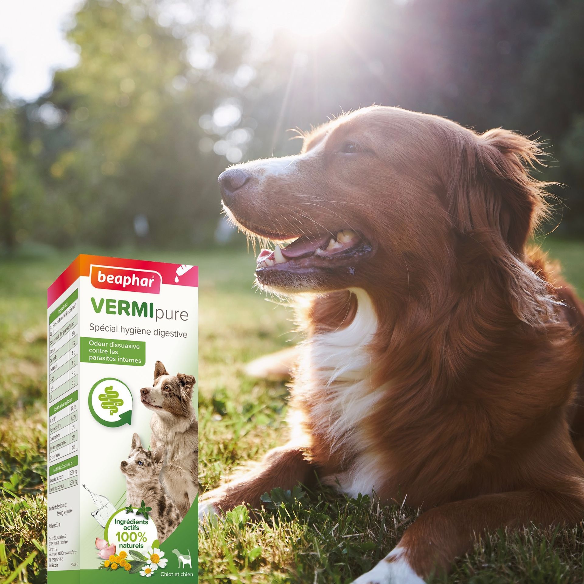VERMIpure, Solution liquide pour chiot et chien - 50 ml – Beaphar - vue 6